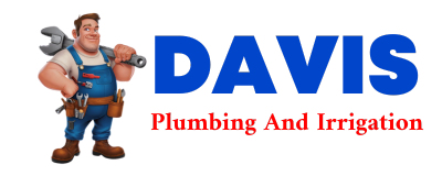 Trusted plumber in NEWLLANO